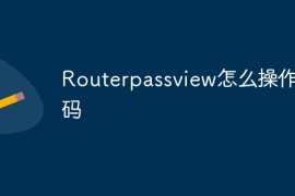 Routerpassview怎么操作解码