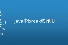 java中break的作用