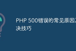 PHP 500错误的常见原因及解决技巧