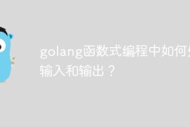 golang函数式编程中如何处理输入和输出？