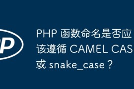 PHP 函数命名是否应该遵循 CAMEL CASE 或 snake？case？