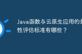 Java函数与云原生应用的兼容性评估标准有哪些？