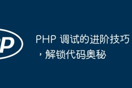 PHP 调试的进阶技巧，解锁代码奥秘