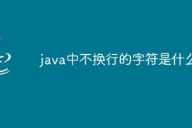 java中不换行的字符是什么