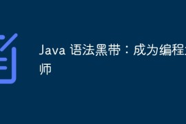 Java 语法黑带：成为编程大师