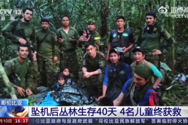 哥伦比亚4名儿童坠机后丛林生存40天后获救：用树枝搭小棚 裹毯瘦到脱相