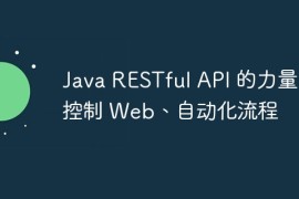 Java RESTful API 的力量：控制 Web、自动化流程