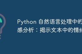 Python 自然语言处理中的情感分析：揭示文本中的情绪