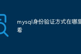 mysql身份验证方式在哪里查看
