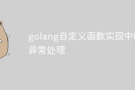 golang自定义函数实现中的异常处理