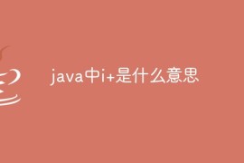 java中i+是什么意思