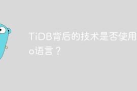 TiDB背后的技术是否使用了Go语言？