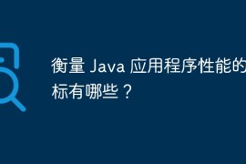 衡量 Java 应用程序性能的指标有哪些？