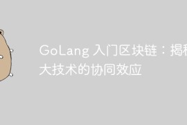 GoLang 入门区块链：揭秘两大技术的协同效应