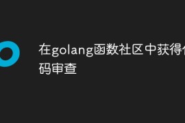 在golang函数社区中获得代码审查