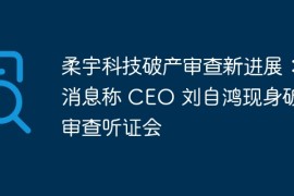 柔宇科技破产审查新进展：消息称 CEO 刘自鸿现身破产审查听证会