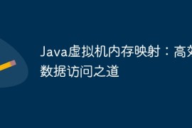 Java虚拟机内存映射：高效数据访问之道