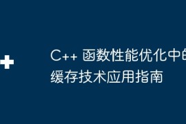 C++ 函数性能优化中的缓存技术应用指南