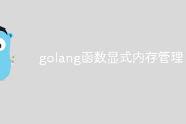 golang函数显式内存管理