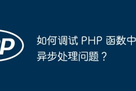 如何调试 PHP 函数中异步处理问题？