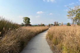 良渚古城遗址公园：“新十条”后首个周末 景区迎来客流高峰