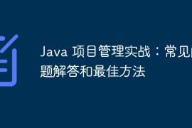 Java 项目管理实战：常见问题解答和最佳方法