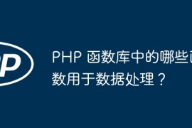 PHP 函数库中的哪些函数用于数据处理？
