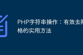 PHP字符串操作：有效去除空格的实用方法