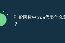PHP函数中true代表什么意思？