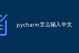 pycharm怎么输入中文