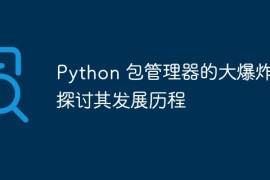 Python 包管理器的大爆炸：探讨其发展历程