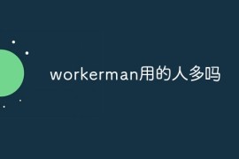 workerman用的人多吗