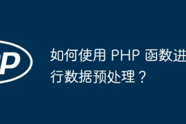 如何使用 PHP 函数进行数据预处理？