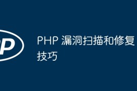 PHP 漏洞扫描和修复技巧