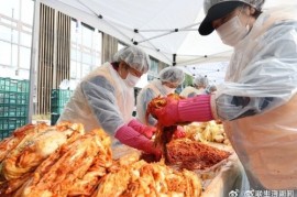 韩国大白菜最贵62元一斤：禁止从中国进口大白菜 尽管质优价廉