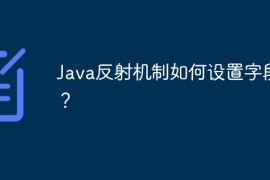 Java反射机制如何设置字段值？