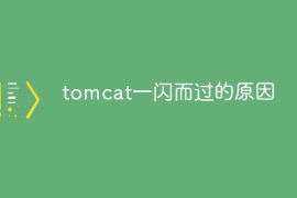 tomcat一闪而过的原因