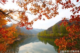中国旅游逆势创新：从风景到场景 景区突出特色