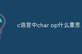 c语言中char op什么意思