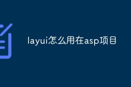 layui怎么用在asp项目