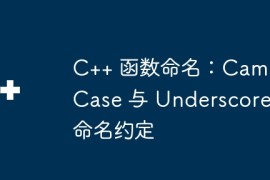 C++ 函数命名：CamelCase 与 Underscore 命名约定