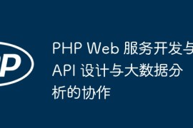 PHP Web 服务开发与 API 设计与大数据分析的协作