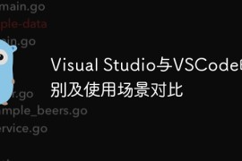 Visual Studio与VSCode的区别及使用场景对比