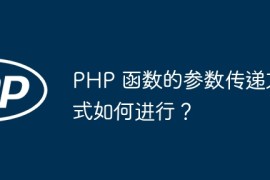 PHP 函数的参数传递方式如何进行？