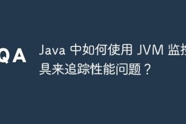 Java 中如何使用 JVM 监控工具来追踪性能问题？