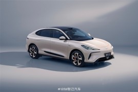 上海：个人和单位购买新能源车可继续免费上牌