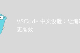VSCode 中文设置：让编辑更高效