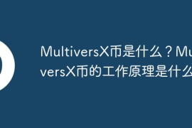 MultiversX币是什么？MultiversX币的工作原理是什么？