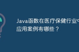 Java函数在医疗保健行业中的应用案例有哪些？