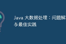 Java 大数据处理：问题解决与最佳实践